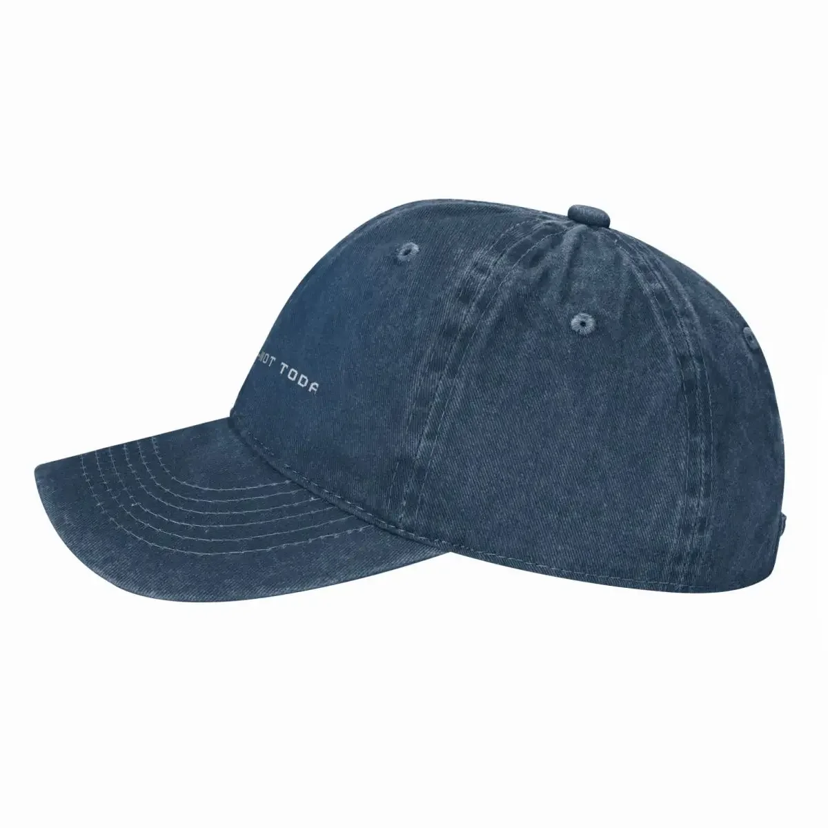 La Linea Not Today Baseball Ca - Streetwear Brand La ulasan dan harga